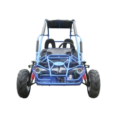 MIDT TrailMaster Dune Buggy Road