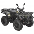 ATV Quad av veien 4 x 4 300cc Green 