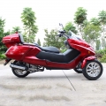 300cc 3 hjul Trike for gass-Scooter 