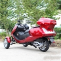 300cc 3 hjul Trike for gass-Scooter 