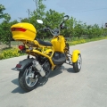 50cc 3 hjul gass Scooter Trike Motorycycle 