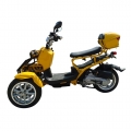 50cc 3 hjul gass Scooter Trike Motorycycle 