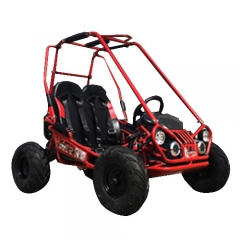 Kids buggy 50cc